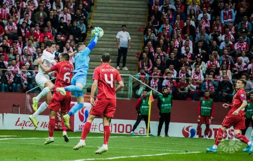 Polska - Macedonia, Eliminacje Euro 2020, foto: Jakub Malicki